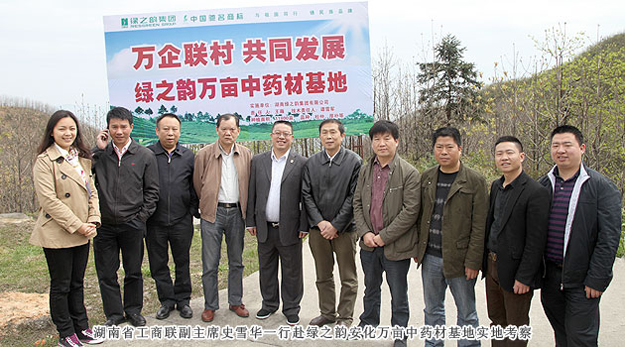 湖南省工商聯(lián)副主席史雪華一行赴綠之韻安化萬畝中藥材基地實地考察