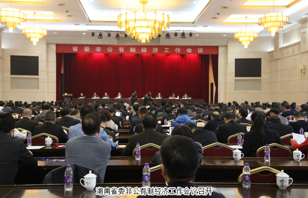 綠之韻集團(tuán)董事長胡國安出席湖南省委非公有制經(jīng)濟(jì)工作會議，并接受湖南衛(wèi)視、經(jīng)視采訪