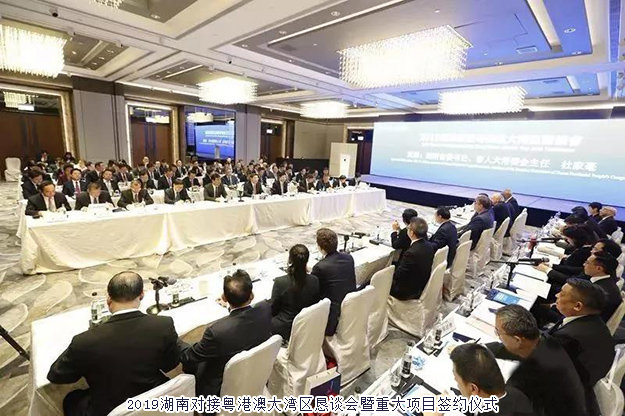 胡國安董事長參加2019湖南-粵港澳大灣區(qū)投資貿(mào)易洽談周，探索融入大灣區(qū)，布局“大健康+金融”