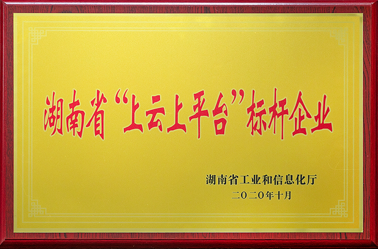 綠之韻集團(tuán)獲評(píng)2020年湖南省“上云上平臺(tái)”標(biāo)桿企業(yè)