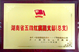 湖南省五四紅旗團支部（總支）