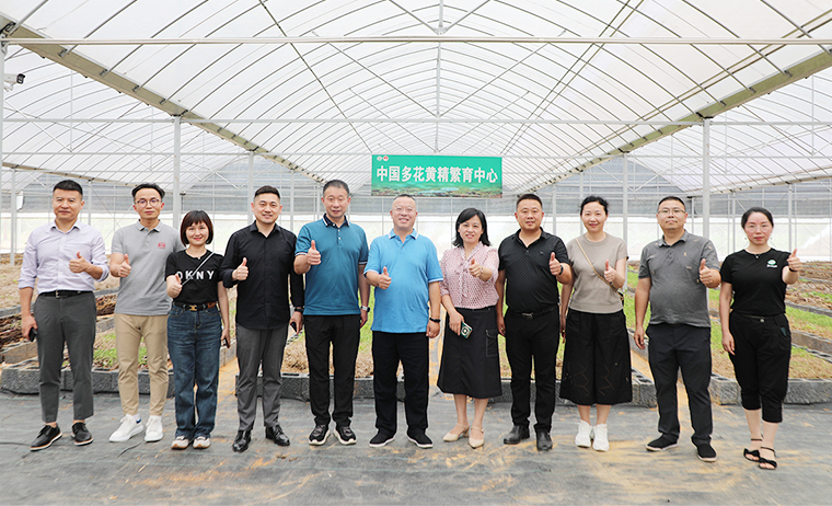 盡職履責 共謀家鄉(xiāng)產業(yè)振興 | 胡國安董事長考察安化黃精產業(yè)發(fā)展，助力鄉(xiāng)村振興造福桑梓